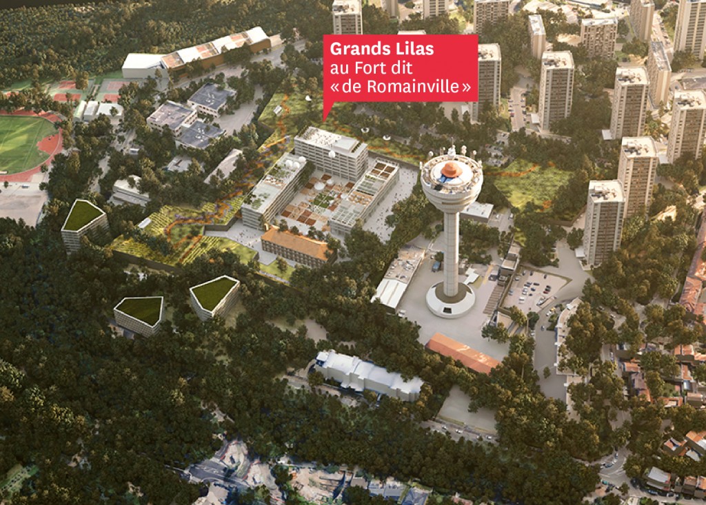061117_grandslilas